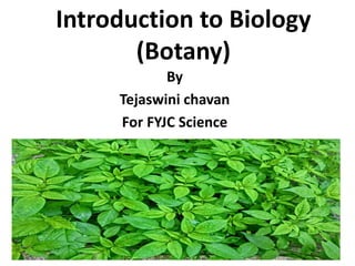Introduction to Biology
(Botany)
By
Tejaswini chavan
For FYJC Science
 