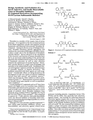 Design, Synthesis, and Evolution of a
Novel, Selective, and Orally Bioavailable
Class of Thrombin Inhibitors:
P1-Argininal Derivatives Incorporating
P3-P4 Lactam Sulfonamide Moieties1
J. Edward Semple,* David C. Rowley,
Terence K. Brunck, Theresa Ha-Uong,
Nathaniel K. Minami, Timothy D. Owens,
Susan Y. Tamura, Erick A. Goldman, Daniel V. Siev,
Robert J. Ardecky, Stephen H. Carpenter, Yu Ge,
Brigitte M. Richard, Thomas G. Nolan,
Kjell Håkanson,† Al Tulinsky,† Ruth F. Nutt, and
William C. Ripka
Corvas International, Inc., 3030 Science Park Road,
San Diego, California 92121-1102, and Department of
Chemistry, Michigan State University,
East Lansing, Michigan 48824-1322
Received August 5, 1996
Thrombin is a member of the trypsin class of serine
proteases. It is regarded as the key terminal protease
of the blood coagulation cascade and regulates normal
hemostasis and abnormal intravascular thrombus de-
velopment. Among its diverse array of biological func-
tions, thrombin stimulates platelet aggregation and
catalyzes the conversion of fibrinogen into fibrin; hence,
it plays a major role in the development of thrombotic
vascular disease.2 Recent advances in the elucidation
of the structure and function of human thrombin have
led to an increased understanding of the pivotal role
played by this multifunctional enzyme in the regulation
of hemostatic processes as well as other activities
related to the maintenance of vascular function.3 Throm-
botic vascular disease is a major cause of morbidity and
mortality in the industrialized world. Established clini-
cal anticoagulant regimens include the administration
of coumadin, heparin, or heparin derivatives. The
problems associated with these agents are well-recog-
nized.4 Considerable efforts are being focused on the
development of safe new classes of selective inhibitors
derived from both natural5 and synthetic sources,6,7
which may function by either indirect or direct mech-
anisms of action.3b,5a,7 Representative structures thereof
are broadly based upon peptide as well as peptidomi-
metic templates.8
Certain peptidyl P19-argininals such as 110 have been
found to be highly active as transition-state inhibitors
of thrombin and related serine proteases.11 Our recent
work on orally active anticoagulants has led to a novel
family of synthetic direct thrombin inhibitors from
which the drug candidate PrPent-Asp(OMe)-Pro-Arg-H
(2, CVS 1123, Figure 1) has emerged.12 This compound
is a potent (Ki ) 1 nM), selective, and orally bioavailable
active site directed inhibitor of thrombin which dem-
onstrated promising pharmacological profiles in a recent
phase I clinical trial.12e
Although CVS 1123 and other peptidyl argininals10,11
have shown good thrombin inhibitory activity, oral
bioavailability, and selectivity against related serine
proteases including plasmin, coagulation factors VIIa
(FVIIa) and Xa (FXa), they generally lack selectivity
against trypsin. One strategy for achieving enhanced
selectivity against trypsin was to focus on improving
thrombin binding affinity by increasing conformational
rigidity of the peptidic backbone present in inhibitors
such as 1 and 2. We also reasoned that inhibitors which
exploit a unique interaction with thrombin’s 60 loop
might lead to drug candidates with improved selectivity
profiles. Since they can mimic partial type II/II′ β-turn
conformations,13e,f we pursued a series of novel thrombin
inhibitors which incorporate lactam moieties as dipep-
tide surrogates.
* Please send all correspondence to: Dr. J. Edward Semple, Corvas
International, Inc., 3030 Science Park Rd., San Diego, CA 92121-1102.
(619) 455-9800; Fax (619) 455-7895. E-mail address: ed semple@c
orvas.com.
† Michigan State University.
Figure 1. Structures of P1-argininal thrombin inhibitors.
Scheme 1a
a Key: (a) i-BuOCOCl, NMP, THF, -5 °C; Me(OMe)NH, -5 °C
to room temperature, 88%; (b) LiAlH4, THF, -78 °C; KHSO4, H2O,
-70 to -30 °C, 74%; (c) EtOH, HCl(cat.) room temperature, 81%;
(d) HCl (∼12-20 equiv)/EtOH or EtOAc, 0 °C to room temperature,
∼quant; (e) BH3‚THF, -78 to -20 °C; MeOH, -78 °C to room
temperature, ∼quant; (f) HCl, MeOH, 0 °C to room temperature,
∼quant.
4531J. Med. Chem. 1996, 39, 4531-4536
S0022-2623(96)00572-9 CCC: $12.00 © 1996 American Chemical Society
 