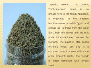 Ajwain, ajowan or carom,
Trachyspermum ammi, is an
annual herb in the family Apiaceae.
It originated in the eastern
Mediterranean, possibly Egypt, and
spread up to India from the Near
East. Both the leaves and the fruit
pods of the plant are consumed by
humans. The plant is also called
bishop's weed, but this is a
common name it shares with some
other different plants. The "seed"
is often confused with lovage
seed.
 