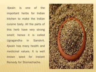 Ajwain is one of the
important herbs for Indian
kitchen to make the Indian
cuisine tasty. All the parts of
this herb have very strong
smell; hence it is called
Ugragandha in Sanskrit.
Ajwain has many health and
medicinal values. It is well
known seed for Instant
Remedy for Stomachache.
 