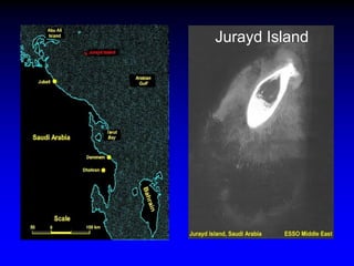 Jurayd Island
 