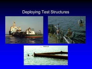 Deploying Test Structures
 