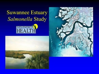 Suwannee Estuary
Salmonella Study
 