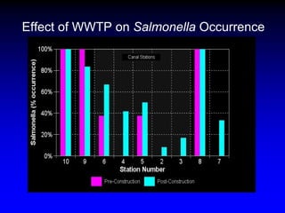 Effect of WWTP on Salmonella Occurrence
 