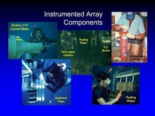 Instrumented Array
Components
 
