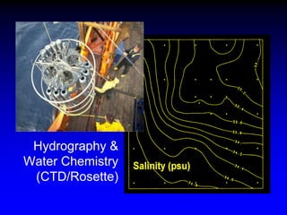 Hydrography &
Water Chemistry
(CTD/Rosette)
 