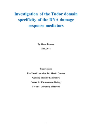 1
Investigation of the Tudor domain
specificity of the DNA damage
response mediators
By Shane Browne
Nov, 2011
Supervisors:
Prof. Noel Lowndes, Dr. Muriel Grenon
Genome Stability Laboratory
Centre for Chromosome Biology
National University of Ireland
 