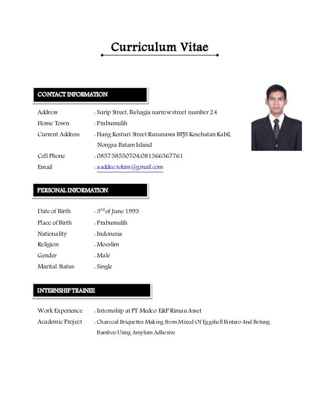 cv english updated curriculum vitae for internship