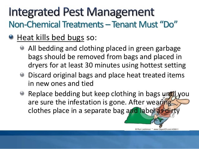 Tenant Bed Bugs Presentation