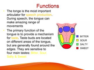 14-ORAL CAVITY | PDF