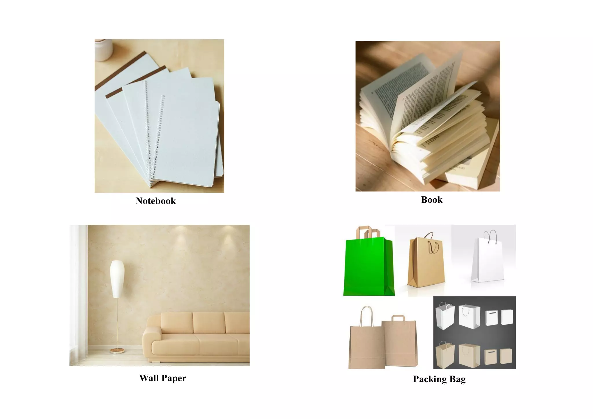 BookNotebook
Packing BagWall Paper
 