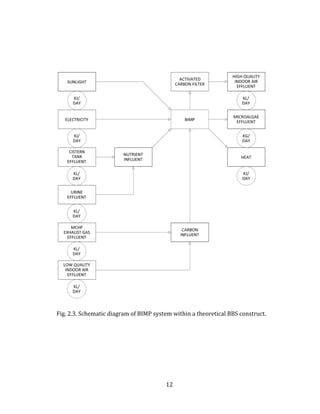 12
Fig. 2.3. Schematic diagram of BIMP system within a theoretical BBS construct.
 