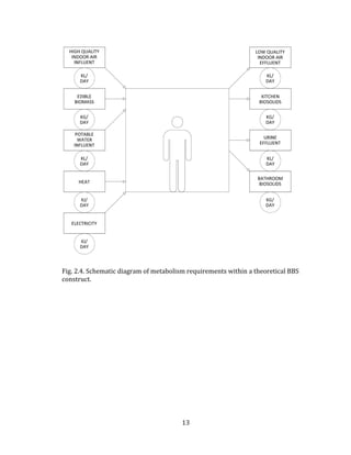 13
Fig. 2.4. Schematic diagram of metabolism requirements within a theoretical BBS
construct.
 