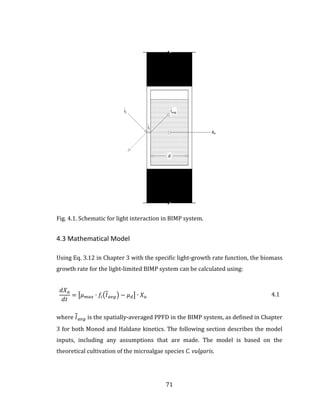 71
Fig. 4.1. Schematic for light interaction in BIMP system.
4.3 Mathematical Model
Using Eq. 3.12 in Chapter 3 with the specific light-growth rate function, the biomass
growth rate for the light-limited BIMP system can be calculated using:
𝑑𝑋 𝑎
𝑑𝑡
= [𝜇 𝑚𝑎𝑥 ∙ 𝑓𝑖(𝐼 𝑎𝑣𝑔) − 𝜇 𝑑] ∙ 𝑋 𝑎 4.1
where 𝐼 𝑎𝑣𝑔 is the spatially-averaged PPFD in the BIMP system, as defined in Chapter
3 for both Monod and Haldane kinetics. The following section describes the model
inputs, including any assumptions that are made. The model is based on the
theoretical cultivation of the microalgae species C. vulgaris.
 