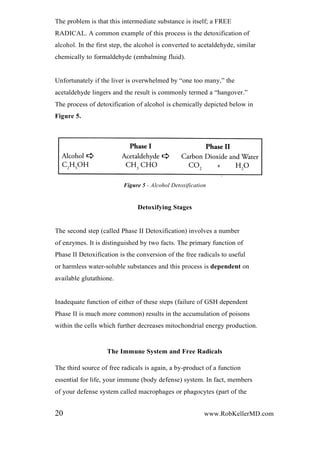 The problem is that this intermediate substance is itself; a FREE
RADICAL. A common example of this process is the detoxification of
alcohol. In the first step, the alcohol is converted to acetaldehyde, similar
chemically to formaldehyde (embalming fluid).
Unfortunately if the liver is overwhelmed by “one too many,” the
acetaldehyde lingers and the result is commonly termed a “hangover.”
The process of detoxification of alcohol is chemically depicted below in
Figure 5.
Figure 5 - Alcohol Detoxification
Detoxifying Stages
The second step (called Phase II Detoxification) involves a number
of enzymes. It is distinguished by two facts. The primary function of
Phase II Detoxification is the conversion of the free radicals to useful
or harmless water-soluble substances and this process is dependent on
available glutathione.
Inadequate function of either of these steps (failure of GSH dependent
Phase II is much more common) results in the accumulation of poisons
within the cells which further decreases mitochondrial energy production.
The Immune System and Free Radicals
The third source of free radicals is again, a by-product of a function
essential for life, your immune (body defense) system. In fact, members
of your defense system called macrophages or phagocytes (part of the
20 www.RobKellerMD.com
 