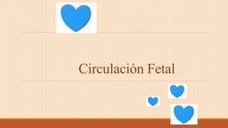 Circulación Fetal
 