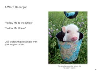 A	
  Word	
  On	
  Jargon	
  



“Follow Me to the Oﬃce”

“Follow Me Home”




Use words that resonate with
your organization.
49
This is just an adorable picture. It’s
not jargon-related.
 