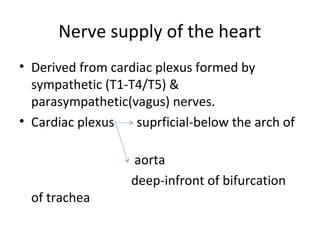 Nerve supply of the heart
• Derived from cardiac plexus formed by
sympathetic (T1-T4/T5) &
parasympathetic(vagus) nerves.
• Cardiac plexus suprficial-below the arch of
aorta
deep-infront of bifurcation
of trachea
 