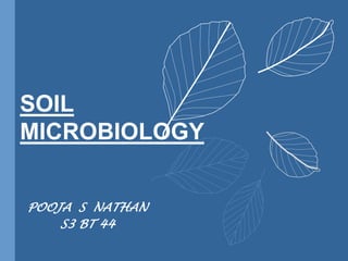 SOIL
MICROBIOLOGY
POOJA S NATHAN
S3 BT 44
 