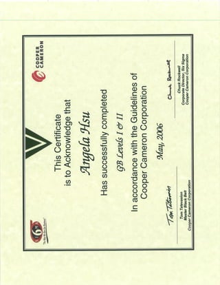 Six Sigma Green Blet Certificate
