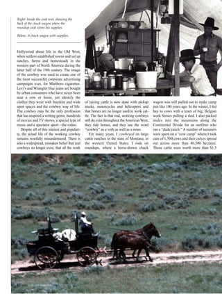 Hollywood about life in the Old West,
when settlers established towns and set up
ranches, farms and homesteads in the
western part of North America during the
latter half of the 19th century. The image
of the cowboy was used to create one of
the most successful corporate advertising
campaigns ever, for Marlboro cigarettes.
Levi’s and Wrangler blue jeans are bought
by urban consumers who have never been
near a cow or horse, yet identify the
clothes they wear with freedom and wide
open spaces and the cowboy way of life.
The cowboy may be the only profession
that has inspired a writing genre, hundreds
of movies and TV shows, a special type of
music and a spectator sport—the rodeo.
Despite all of this interest and populari-
ty, the actual life of the working cowboy
remains woefully misunderstood. There is
also a widespread, mistaken belief that real
cowboys no longer exist, that all the work
of raising cattle is now done with pickup
trucks, motorcycles and helicopters and
that horses are no longer used to work cat-
tle. The fact is that real, working cowboys
still do exist throughout theAmerican West,
they ride horses, and they use the word
“cowboy” as a verb as well as a noun.
For many years, I cowboyed on large
cattle ranches in the state of Montana, in
the western United States. I rode on
roundups, where a horse-drawn chuck
wagon was still pulled out to make camp
just like 100 years ago. In the winter, I fed
hay to cows with a team of big, Belgian
work horses pulling a sled. I also packed
mules into the mountains along the
Continental Divide for an outfitter who
ran a “dude ranch.” A number of summers
were spent on a “cow camp” where I took
care of 1,500 cows and their calves spread
out across more than 40,500 hectares.
Those cattle were worth more than $1.5
Right: Inside the cook tent, showing the
back of the chuck wagon where the
roundup cook stores his supplies.
Below: A chuck wagon with supplies.
32 SPAN JANUARY/FEBRUARY 2007
 