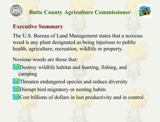 Butte County Agriculture Commissioner
Executive Summary
Noxious weeds are those that:
Destroy wildlife habitat and hunting, fishing, and
camping
Threaten endangered species and reduce diversity
Disrupt bird migratory or nesting habits
Cost billions of dollars in lost productivity and in control.
The U.S. Bureau of Land Management states that a noxious
weed is any plant designated as being injurious to public
health, agriculture, recreation, wildlife or property.
 