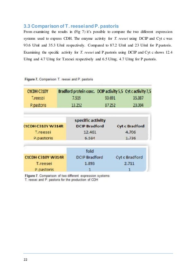 University of sussex international relations image