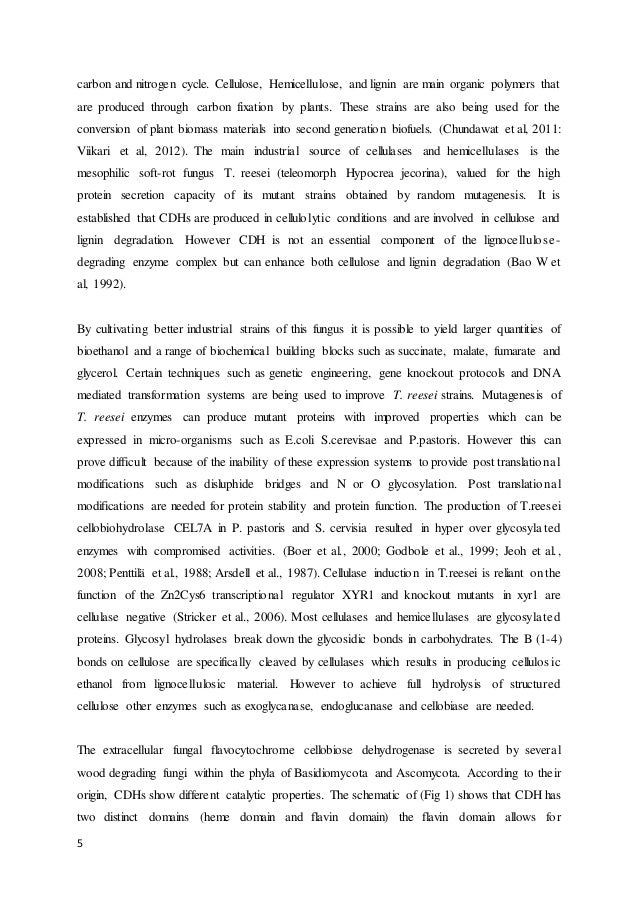 Thesis on trichoderma