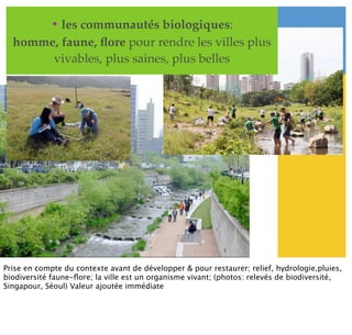 • les communautés biologiques:
homme, faune, ﬂore pour rendre les villes plus
vivables, plus saines, plus belles
Prise en compte du contexte avant de développer & pour restaurer; relief, hydrologie,pluies,
biodiversité faune-ﬂore; la ville est un organisme vivant; (photos: relevés de biodiversité,
Singapour, Séoul) Valeur ajoutée immédiate
 
