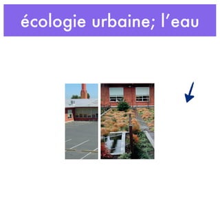 écologie urbaine; l’eau
 