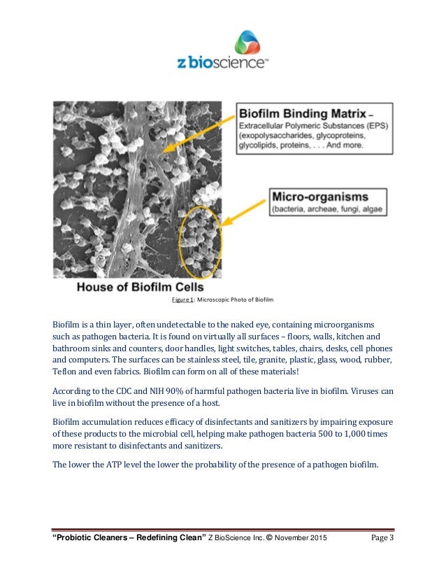 Watch Movie Focus For Free