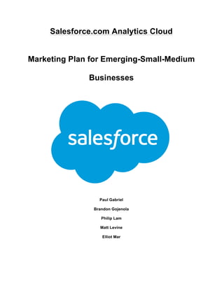 Salesforce.com Analytics Cloud
Marketing Plan for Emerging-Small-Medium
Businesses
Paul Gabriel
Brandon Gojenola
Philip Lam
Matt Levine
Elliot Mar
 