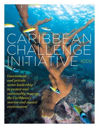 CARIBBEAN
CHALLENGE
INITIATIVE
Government
and private
sector leadership
to protect and
sustainably manage
the Caribbean’s
marine and coastal
environment
(CCI)
 