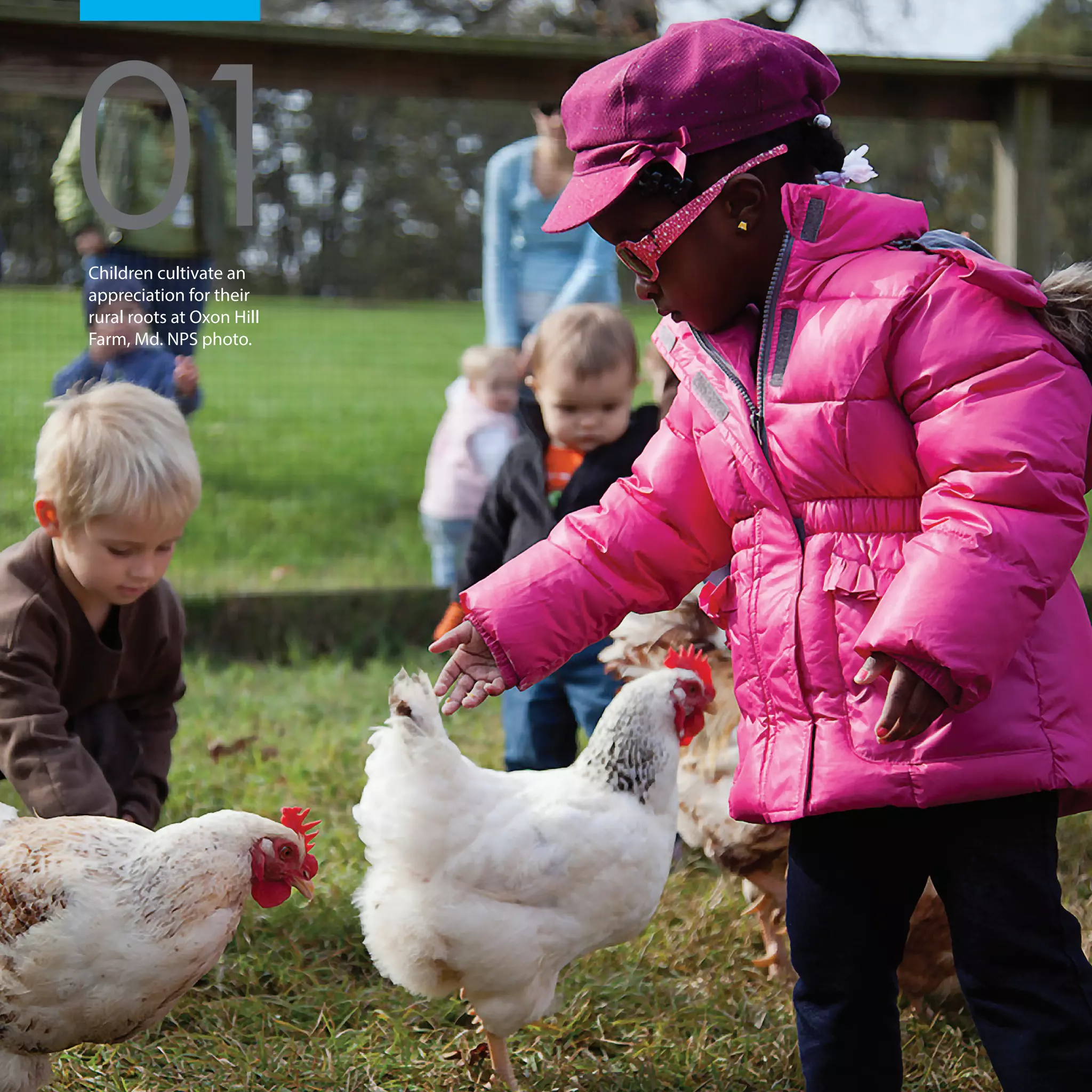 Children cultivate an
appreciation for their
rural roots at Oxon Hill
Farm, Md. NPS photo.
01
 