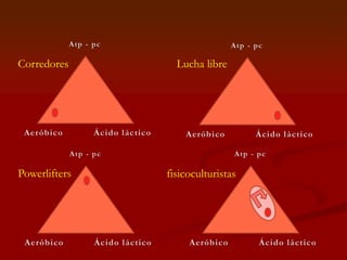 Corredores Lucha libre
Powerlifters fisicoculturistas
 