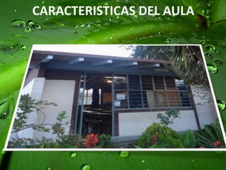  Localidad: Huamantla