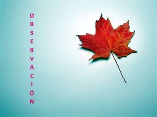     La sesión que a continuación se abordó fue la referida a los remedios caseros, donde nuevamente la participación de los alumnos fue de gran ayuda para lograr que la actividad se llevara a cabo adecuadamente, pues todos los alumnos llevaron los materiales como recetas caseras, marcadores, colores, se reunieron por equipos y entre todos se apoyaron para elaborar el material. 