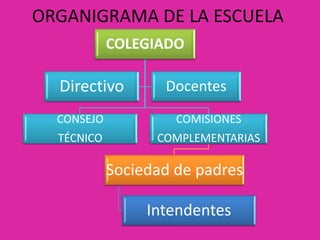 Titular: Candelaria Sánchez Navarro.