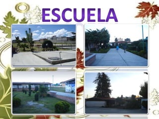 Zona escolar: 03