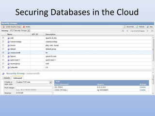 Securing Databases in the Cloud
 