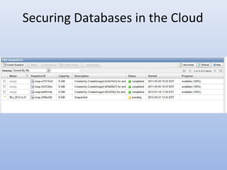 Securing Databases in the Cloud
 