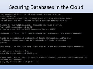 Securing Databases in the Cloud
 
