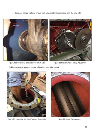 20
- Damaged oil seal replaced by new one, adjusting the rotors timing from the gear side
Taking clearances between the two lobes (Suction & Discharge)
Figure.3.6 Blower’s Rotor Timing AdjustmentFigure.3.5 New Oil Seal on the Blower’s Shaft Side
Figure.3.7 Measuring the Blower’s Lobes Clearances Figure.3.8 Blower Rotary Lobes
 