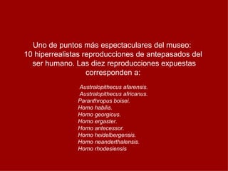 Uno de puntos más espectaculares del museo:
10 hiperrealistas reproducciones de antepasados del
  ser humano. Las diez reproducciones expuestas
                   corresponden a:
               Australopithecus afarensis.
               Australopithecus africanus.
               Paranthropus boisei.
               Homo habilis.
               Homo georgicus.
               Homo ergaster.
               Homo antecessor.
               Homo heidelbergensis.
               Homo neanderthalensis.
               Homo rhodesiensis
 