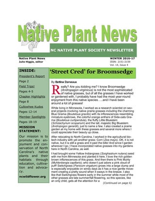 NC NATIVE PLANT SOCIETY NEWSLETTER
WINTER 2016-17
ISSN: 2151-2159
Vol. 14, Issue 4
‘Street Cred’ for Broomsedge
Native Plant News
Julie Higgie, editor
INSIDE:
President’s Report
Page 2
Field Trips!
Pages 4-5
Chapter Highlights
Page 8
Cullowhee Kudos
Pages 12-14
Member Spotlights
Pages 18-19
MISSION
STATEMENT:
Our mission is to
promote the en-
joyment and con-
servation of North
Carolina’s native
plants and their
habitats through
education, cultiva-
tion and advoca-
cy.
ncwildflower.org
By Bettina Darveaux
Really? Are you kidding me? I know Broomsedge
(Andropagon virginicus) is not the most sophisticated
of native grasses, but of all the grasses I have worked
or gardened with, I probably have had the most year-round
enjoyment from this native species…..and I have been
around a lot of grasses!
While living in Minnesota, I worked as a research scientist on sev-
eral projects involving native prairie grasses including the charming
Blue Grama (Bouteloua gracilis) with its inflorescences resembling
miniature eyebrows, the colorful orange anthers of Side-oats Gra-
ma (Bouteloua curtipendula), the fluffy Little Bluestem
(Schizachyrium scoparium) and the tall, majestic Big Bluestem
(Andropogon gerardii), just to name a few. I also created a prairie
garden at my home with these grasses and several more where I
could appreciate their beauty up close.
After relocating to North Carolina, I worked in the agricultural bio-
tech industry with yet another grass: Corn (Zea mays). OK, it is not
native, but it is still a grass and it paid the bills! And since I garden
wherever I go, I have incorporated native grasses into my gardens
here in North Carolina, as well.
I had brought some Yellow Indiangrass (Sorghastrum nutans) seed
with me from Minnesota and planted it here. I love the rich golden
brown inflorescences of this grass. And then there is Pink Muhly
(Muhlenbergia capillaris); who doesn’t just adore a pink cloud of
puff! Switchgrass (Panicum virgatum) grows into a large clump and
is especially enjoyable on windy days as it has a nice gentle move-
ment creating a pretty sound when it sways in the breeze. I also
like that Switchgrass flowers early in the summer while most of the
other grasses are late summer/fall flowering, so this species, like
an only child, gets all the attention for a
(Continued on page 6)
 