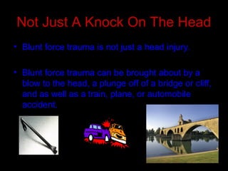 Not Just A Knock On The Head
• Blunt force trauma is not just a head injury.
• Blunt force trauma can be brought about by a
blow to the head, a plunge off of a bridge or cliff,
and as well as a train, plane, or automobile
accident.
 