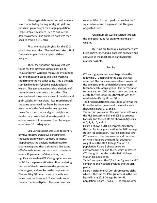 Uses of sorghum picture