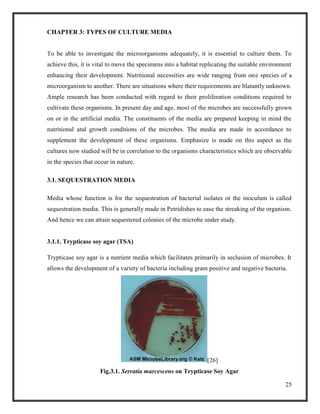 25
CHAPTER 3: TYPES OF CULTURE MEDIA
To be able to investigate the microorganisms adequately, it is essential to culture them. To
achieve this, it is vital to move the specimens into a habitat replicating the suitable environment
enhancing their development. Nutritional necessities are wide ranging from one species of a
microorganism to another. There are situations where their requirements are blatantly unknown.
Ample research has been conducted with regard to their proliferation conditions required to
cultivate these organisms. In present day and age, most of the microbes are successfully grown
on or in the artificial media. The constituents of the media are prepared keeping in mind the
nutritional and growth conditions of the microbes. The media are made in accordance to
supplement the development of these organisms. Emphasize is made on this aspect as the
cultures now studied will be in correlation to the organisms characteristics which are observable
in the species that occur in nature.
3.1. SEQUESTRATION MEDIA
Media whose function is for the sequestration of bacterial isolates or the inoculum is called
sequestration media. This is generally made in Petridishes to ease the streaking of the organism.
And hence we can attain sequestered colonies of the microbe under study.
3.1.1. Trypticase soy agar (TSA)
Trypticase soy agar is a nutrient media which facilitates primarily in seclusion of microbes. It
allows the development of a variety of bacteria including gram positive and negative bacteria.
[26]
Fig.3.1. Serratia marcescens on Trypticase Soy Agar
 