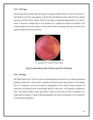 31
3.3.5. XLD agar
Xylose lysine deoxycholate agar (XLD agar) is a growth medium which is selective in nature. It’s
specifically used in the sequestration of Salmonella and Shigella strains obtained from medical
specimens and from food samples. The pH of the agar is maintained approximately a 7.4 due to
which it possesses a bright pink or red coloration as it contains the phenol red indicator. The
evident change of color from yellow to red is observed due to lowering of the pH value due to the
sugar fermentation that occurred [34].
[34]
© Copyright, 2014 Textbook of Bacteriology
Fig.3.9. Salmonella sp. after 24 hours growth on XLD agar.
3.3.6. TSI agar
The Triple Sugar Iron or TSI test is used in microbiological assessments as it is adept in generating
hydrogen sulfide due to the microbe’s capacity of fermenting the sugar present in the medium
[35]. It is commonly used for the selective categorization of the enteric bacteria inclusive of
Salmonella and Shigella but not specifically limited to that alone. This medium is prepared in
slants. The slanted surface of this agar offers a range of areas that are either vulnerable to air
comprising of oxygen in a range of fluctuating degrees (an aerobic atmosphere) or not exposed to
air (an aerobic atmosphere).
 