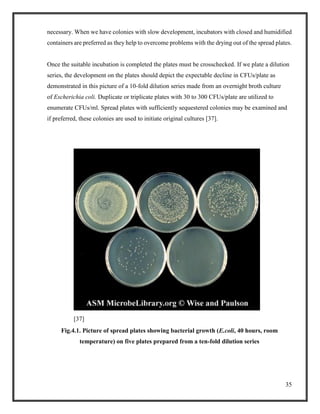 35
necessary. When we have colonies with slow development, incubators with closed and humidified
containers are preferred as they help to overcome problems with the drying out of the spread plates.
Once the suitable incubation is completed the plates must be crosschecked. If we plate a dilution
series, the development on the plates should depict the expectable decline in CFUs/plate as
demonstrated in this picture of a 10-fold dilution series made from an overnight broth culture
of Escherichia coli. Duplicate or triplicate plates with 30 to 300 CFUs/plate are utilized to
enumerate CFUs/ml. Spread plates with sufficiently sequestered colonies may be examined and
if preferred, these colonies are used to initiate original cultures [37].
[37]
Fig.4.1. Picture of spread plates showing bacterial growth (E.coli, 40 hours, room
temperature) on five plates prepared from a ten-fold dilution series
 